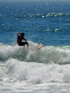 Сёрфенгист поймал волну обои