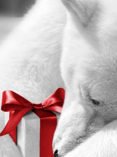 Белый мишка с подарком обои