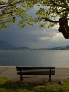 Скамейка на берегу обои