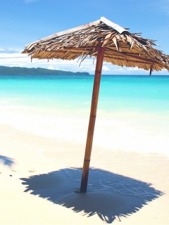 Тросниковый зонт обои