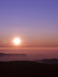 Восход солнца над лесом обои