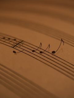 Мелодия  обои