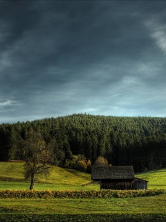 Домик в поле обои