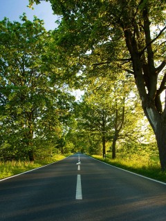 Прямая дорога обои