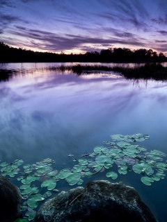 Озеро поздним вечером обои