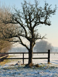 Зимний пейзаж обои