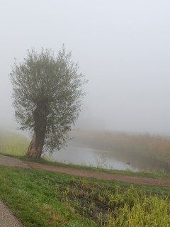 Дорога растворяется в тумане обои