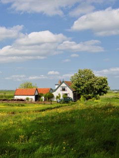 дом на лугу обои