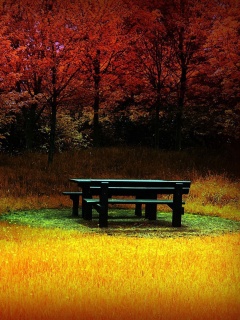 Осенние краски обои