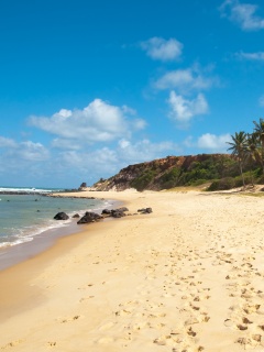 Туры в Бразилию в Лондрину обои
