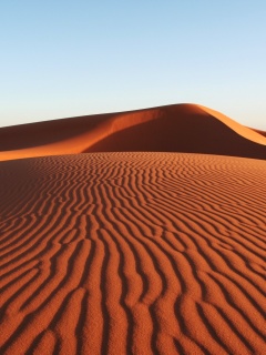 Красные барханы пустыни обои