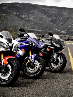 Раллийные мотоциклы на дороге обои