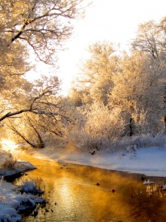 Зимняя река обои