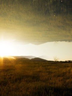 Перевернутый пейзаж обои