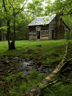 Домик в лесу обои