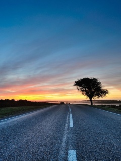 Дорога обои