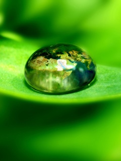 Целый мир в капле воды обои