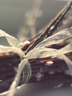 Букет вербы обои