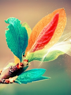 Разноцветные листья обои