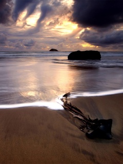 Коряга на пляже обои