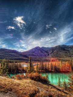 Болотистая местность обои