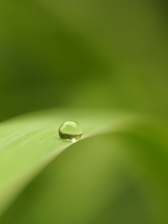Капелька воды обои