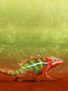 Хамелеон обои