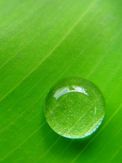 Одна капля обои