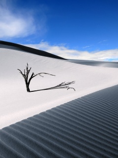 Дюны белого песка обои