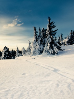 Зимние просторы обои