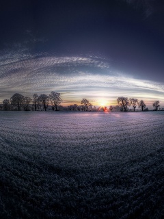 Поле широкоугольным объективом обои