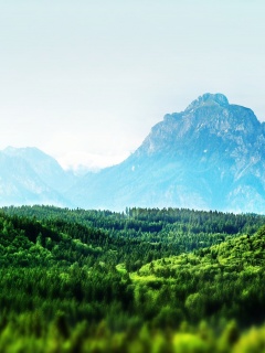 Пейзаж обои