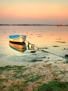 Лодка на илистом берегу обои