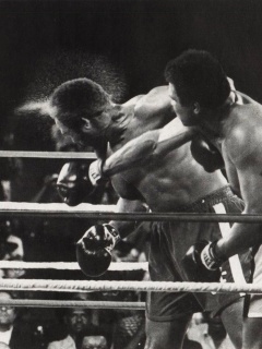 Чемпион по боксу Мохаммед Али обои