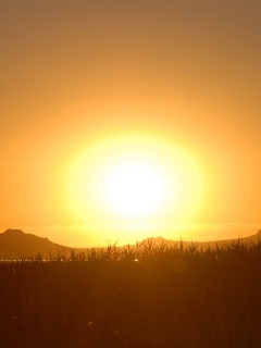 Сельский закат обои