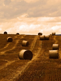 Уборка сена с поля обои