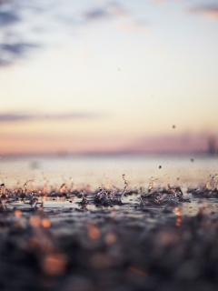 Дождь в макро обои