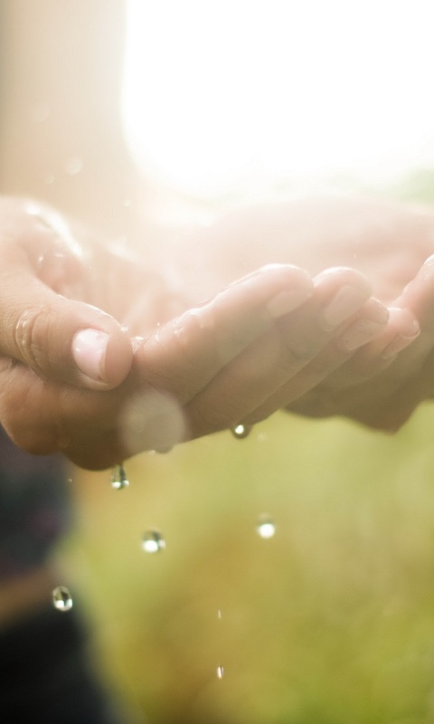 Дождь в ладонях обои
