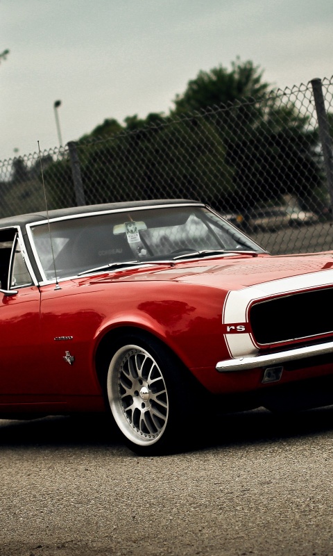 Красный монстор обои