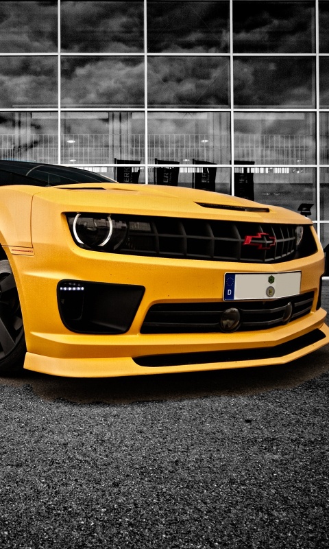 Желтый монстр обои