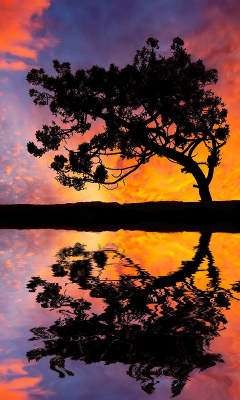 Зеркальное озеро обои