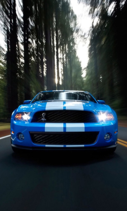 Форд Шелби обои