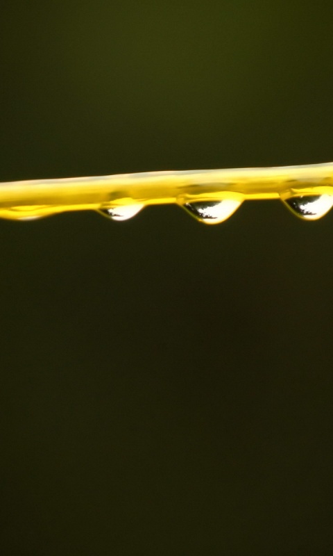 Капли на соломинке обои