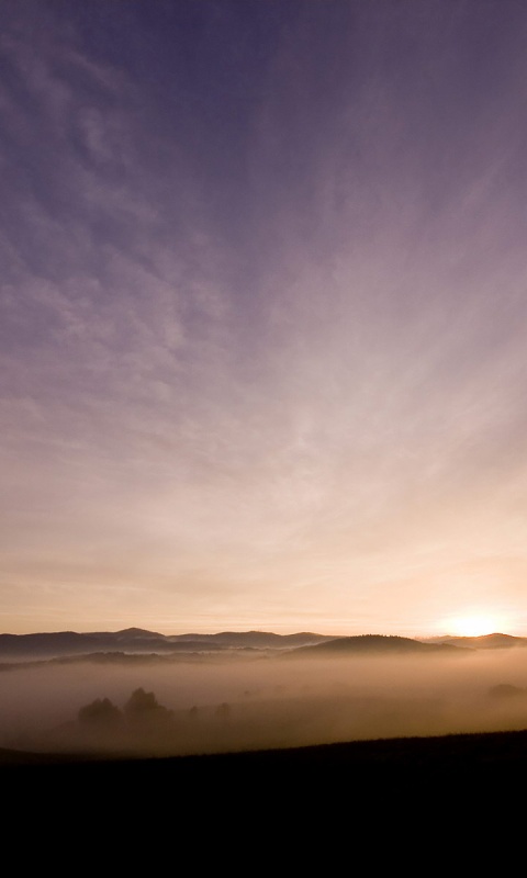 Утренний туман обои