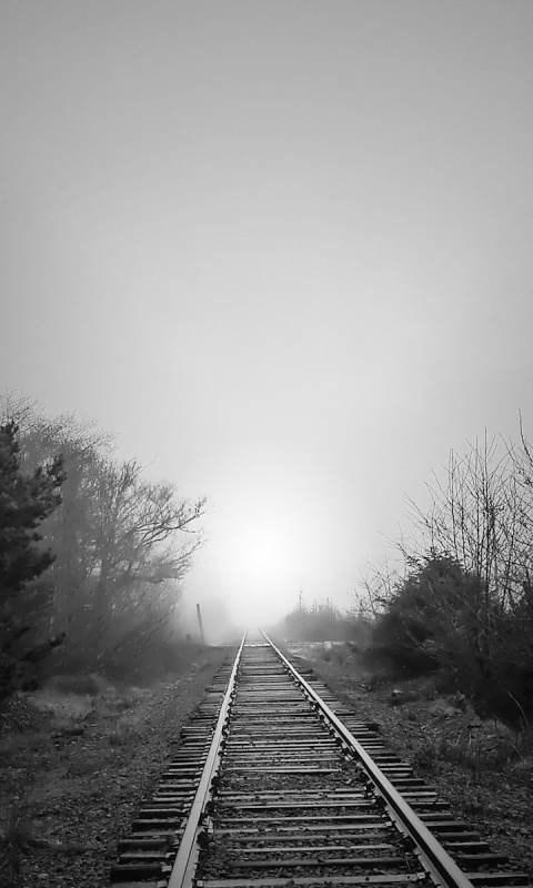 Железная дорога уходит в туман обои