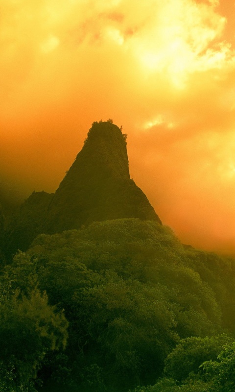 Заросшие джунглями горы обои