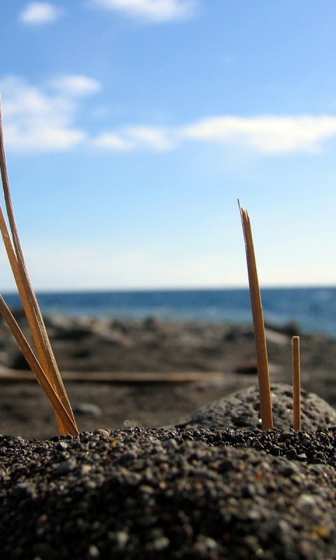 Солома на океанском берегу обои