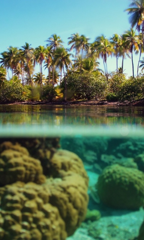 Из-под воды обои