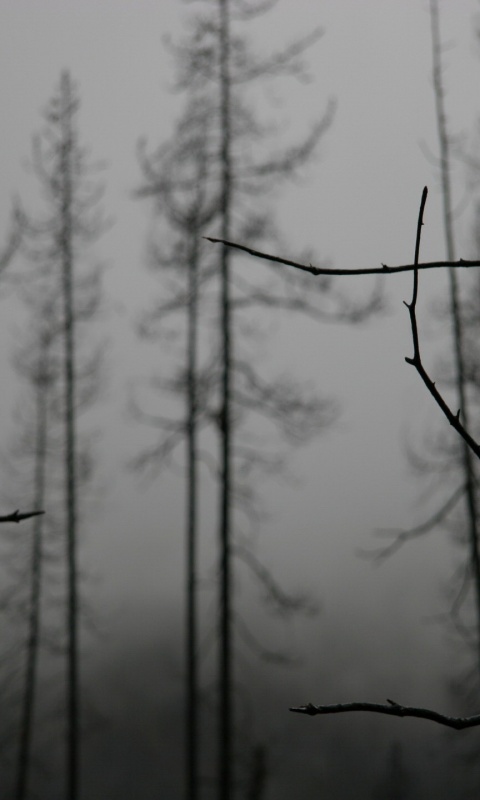 Безысходность обои