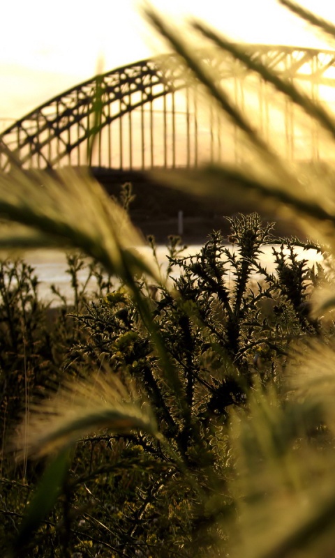 Железнодорожный мост обои